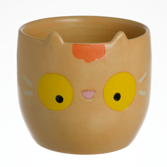 Orange Tabby #1 - Seconds