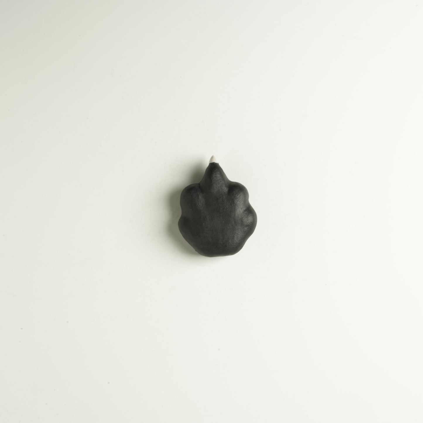 Magnet, Cat Paw